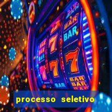 processo seletivo cerejeiras 2024